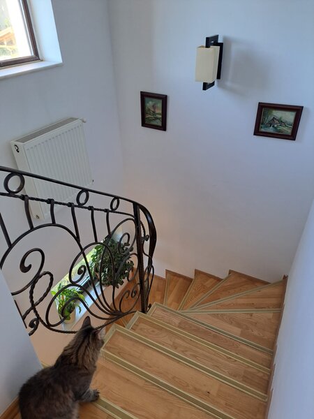 Safirului Bragadiru Vila P+1, 4 camere, 2 bai, sp 112 mp,teren 300 mp,